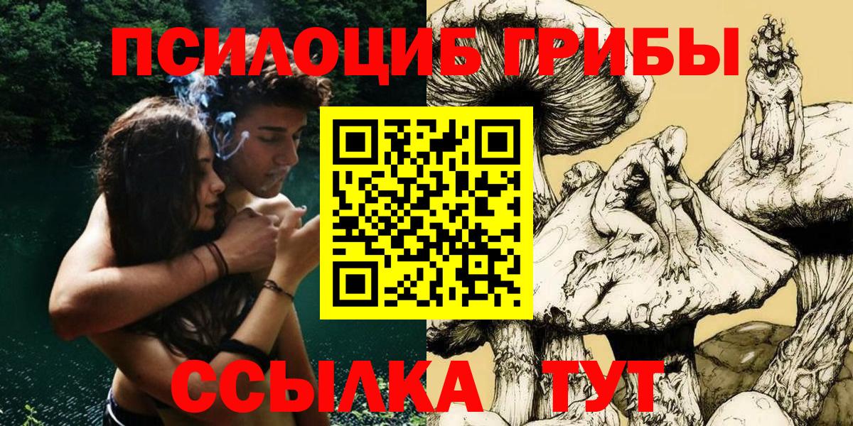 Псилоцибиновые грибы Cubensis  Вход с VPN  Назарово 